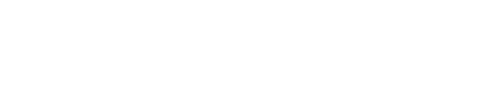 Leon Mattar Automobile